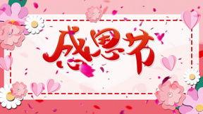 感恩节爆料合集视频大全,视频大全精彩回顾  第3张