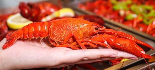 厦门龙虾爆料事件视频曝光,揭露海鲜市场惊人内幕 第1张 厦门龙虾爆料事件视频曝光,揭露海鲜市场惊人内幕 第1张